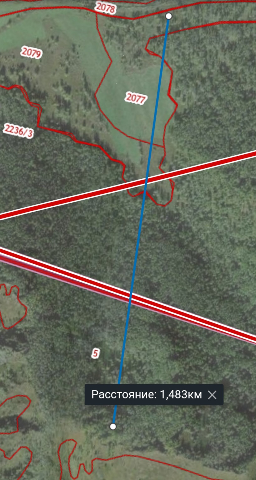 Территория в Горном Алтае под строительство горнолыжного комплекса с кресельным подъёмником в 100-х км от Белокурихи