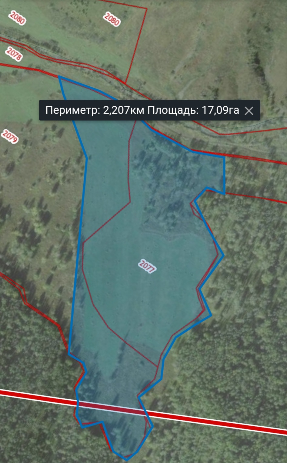Территория в Горном Алтае под строительство горнолыжного комплекса с кресельным подъёмником в 100-х км от Белокурихи