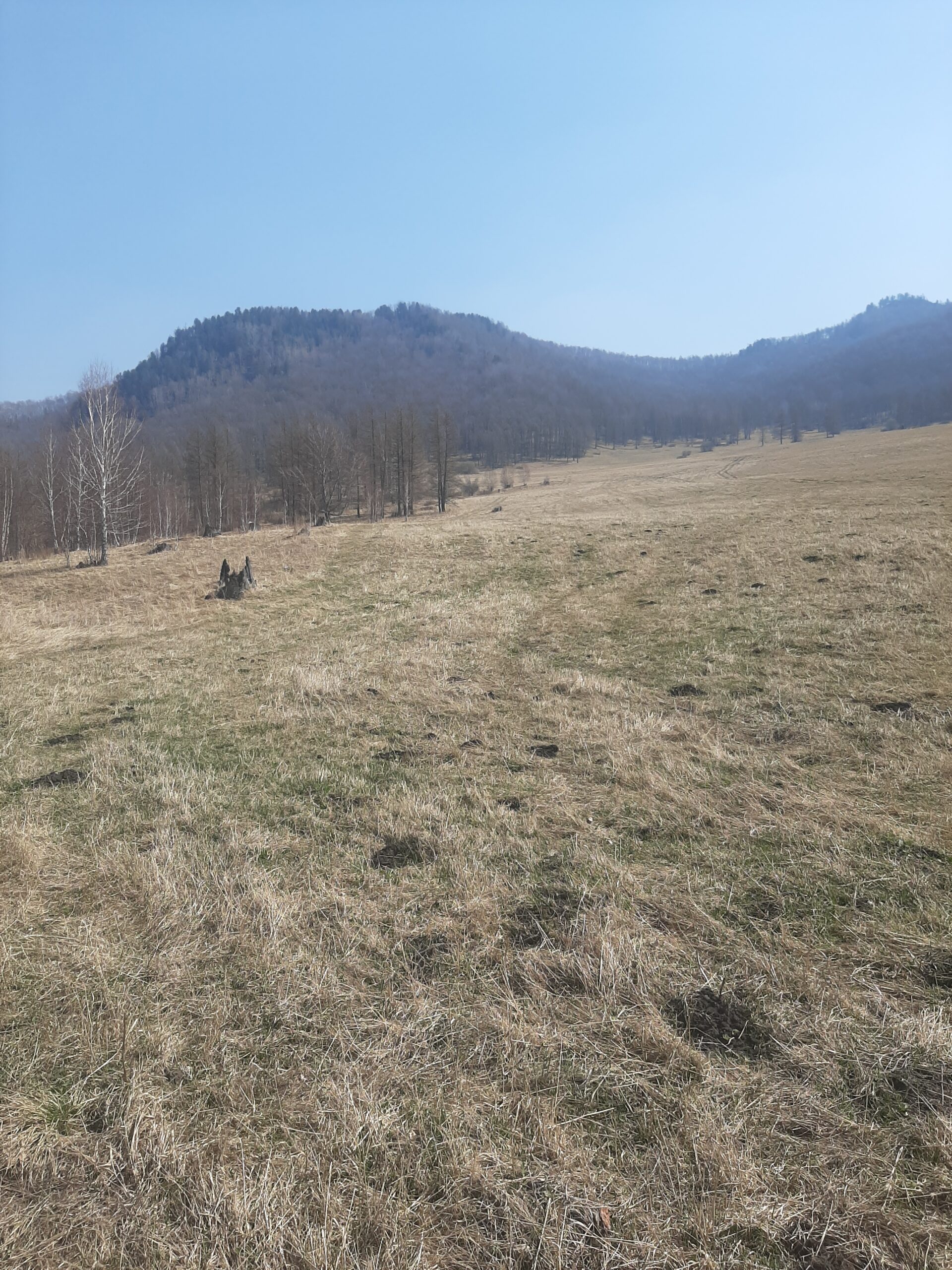 Территория в Горном Алтае под строительство горнолыжного комплекса с кресельным подъёмником в 100-х км от Белокурихи