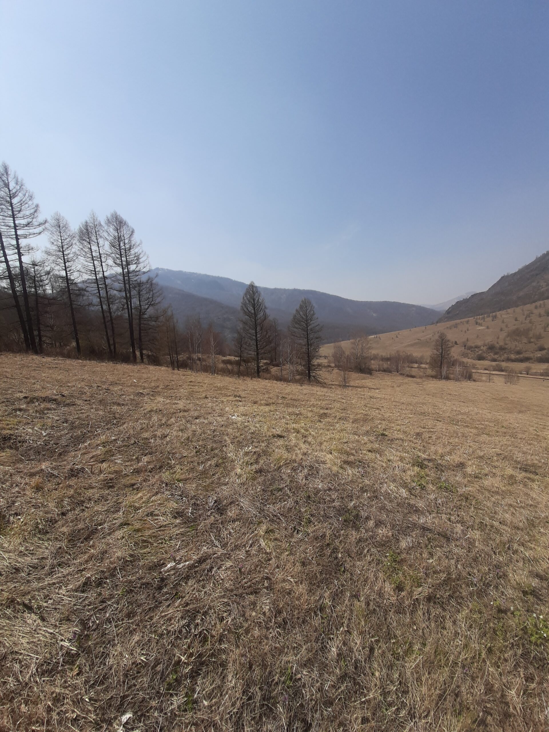 Территория в Горном Алтае под строительство горнолыжного комплекса с кресельным подъёмником в 100-х км от Белокурихи