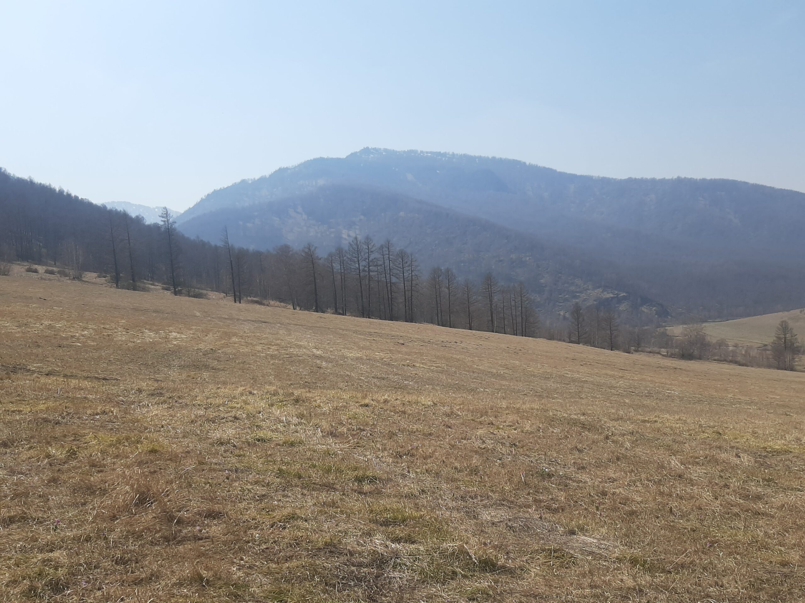 Территория в Горном Алтае под строительство горнолыжного комплекса с кресельным подъёмником в 100-х км от Белокурихи