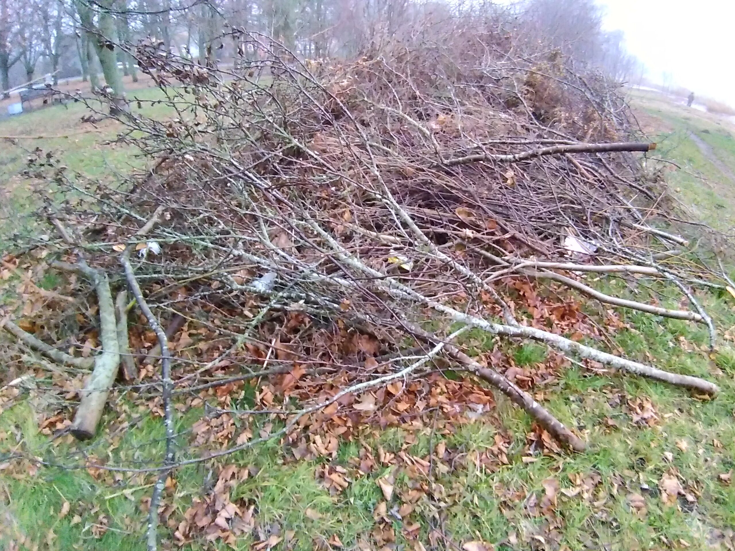 Предлагаем хворост (мелкие ветки и кустарники).