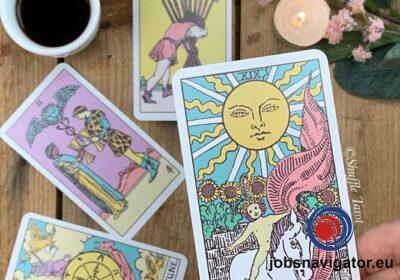 1647980925_623a317d6a7e6