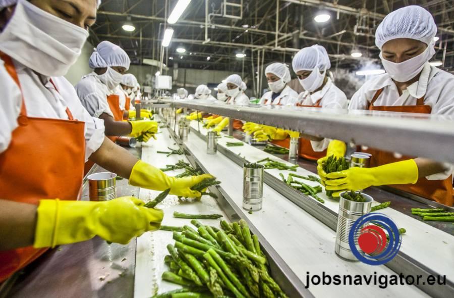 Салатная фабрика в Ко. Лаут, Ирландия.