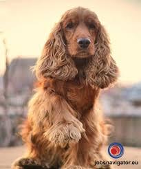 1637765606_619e51e60a55f