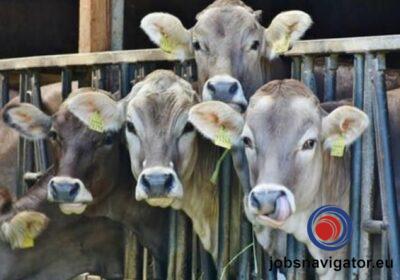 16141062740_60354ea292d9e