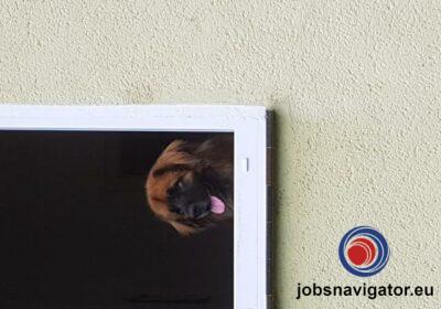 16141079870_6035555382b46