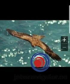 16141080190_60355573e938e