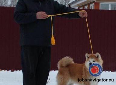 16141082160_60355638e8793