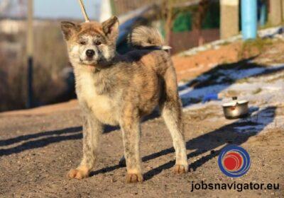 16141082330_60355649b839f