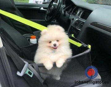 16141082970_603556898d4e6