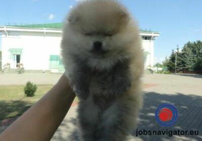 16141083010_6035568d58be2