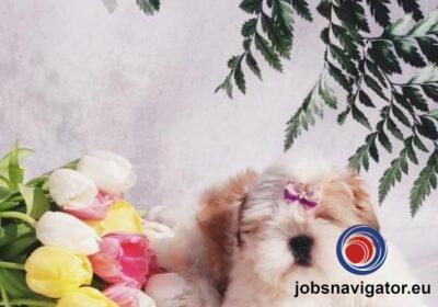 16141083420_603556b6537e9