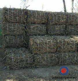 16141090500_6035597a0af2e