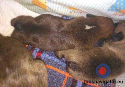 16141090540_6035597ea2fc9