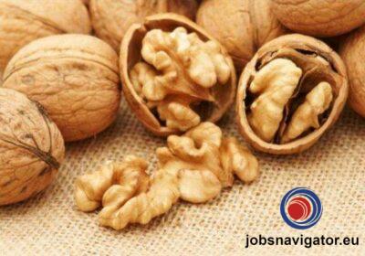 16141090760_603559943639c