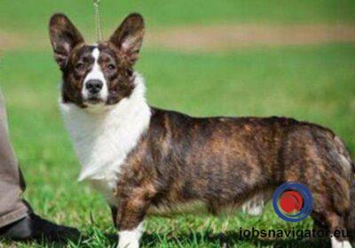 16141090820_6035599ae5ebd