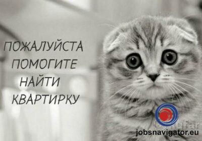 16141093080_60355a7c403d6