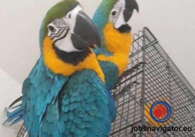 16141094550_60355b0f51fb6