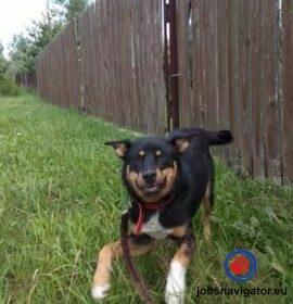 16141094550_60355b0f9136c