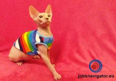 16141094560_60355b10e85e7