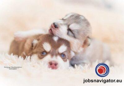 16141094570_60355b11dc22e