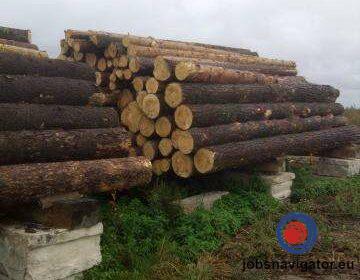 16141094590_60355b13cb143