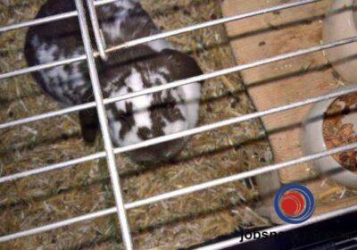 16141094620_60355b1661704