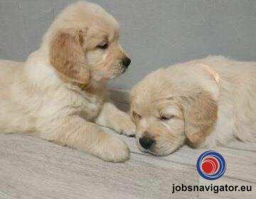 16141659540_603637c2a19a9