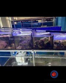 16141659560_603637c448a4e