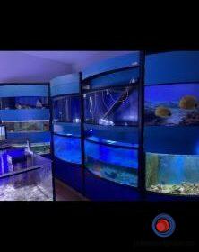 16141659570_603637c597c0b