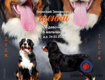 16141659800_603637dc2793c