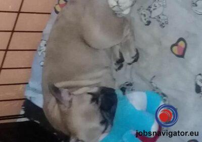 16141659920_603637e815a01