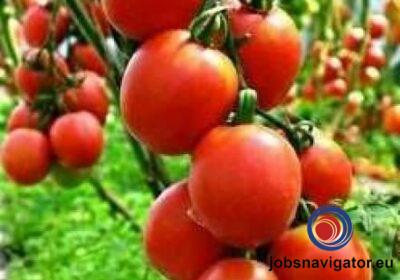 16141660110_603637fb5e97f