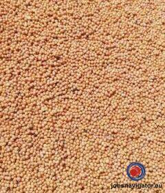 16141660160_60363800ea541