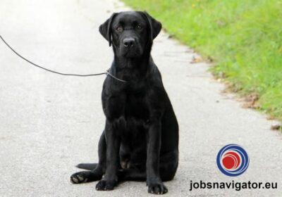 16141660170_60363801b9433