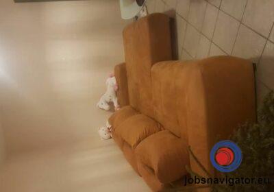 16141660260_6036380abeb0e