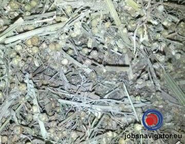 16141660470_6036381f9ad9c