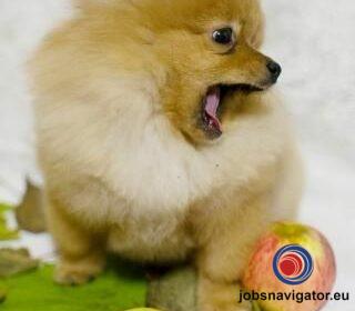 16141660750_6036383b4fe17