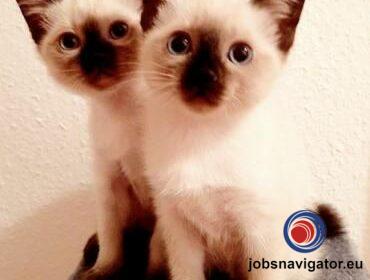 16141661460_603638824f006