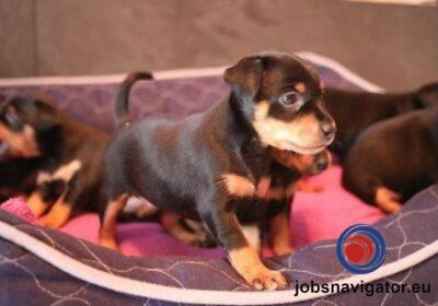 16141661730_6036389daecb1