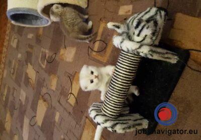 16141662210_603638cdb2647