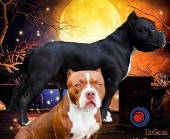 16141662260_603638d28ecdc