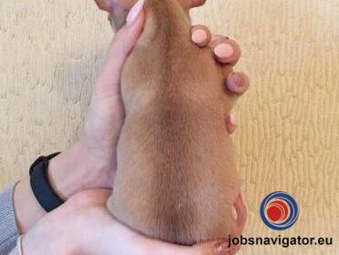 16141662380_603638dee6e4c