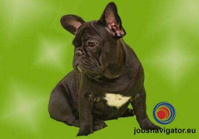 16141662430_603638e3994f0