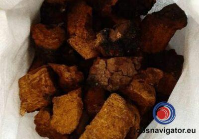 16141662470_603638e70d2ef