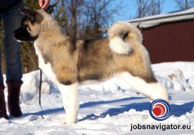 16141662610_603638f5f05b2