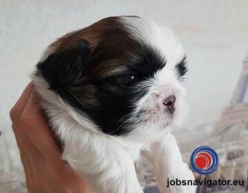 16141662750_603639030f76e