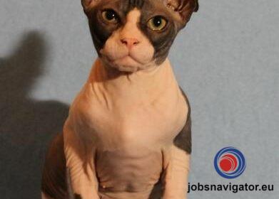 16141663060_6036392290254