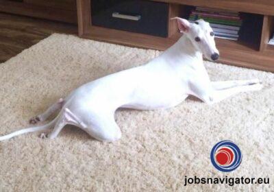 16141663080_60363924b2e61